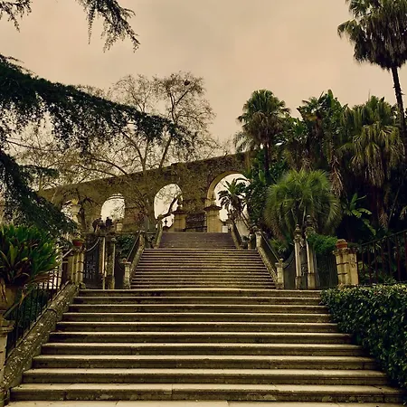 Casa Da Se By Purus Πανσιόν Κοΐμπρα