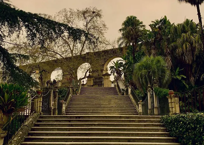 Casa Da Se By Purus بيت ضيافة كويمبرا